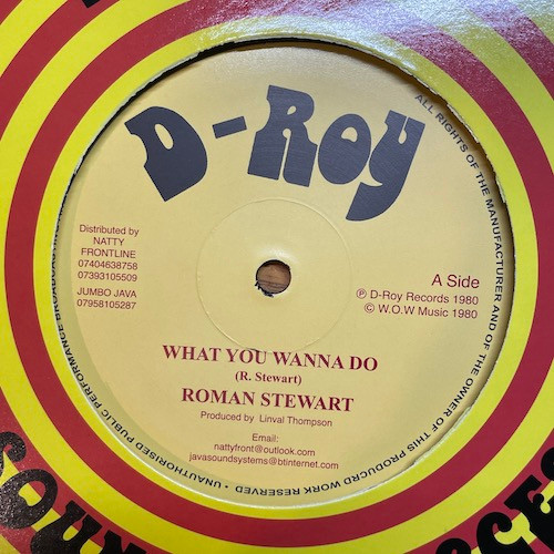 Roman Stewart - What You Wanna Do